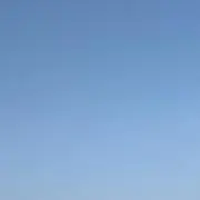 こりの画像