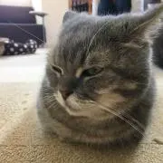 4800