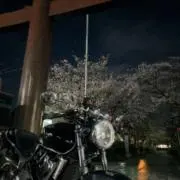 Takeの画像