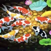 Hiro8386の画像