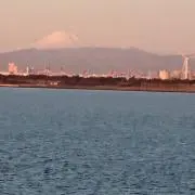 マル