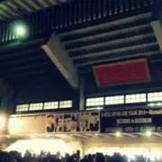 きのこ