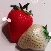 ぴーかの画像