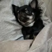 りーや