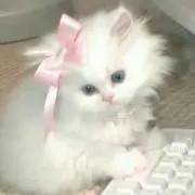 星✩.*゜の画像