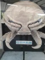 ガンボーイの画像