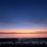小籠包の画像