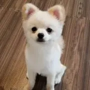 みぃ