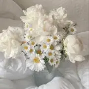 niko_roomの画像