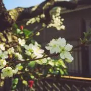 はいぽの画像