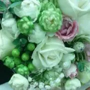 ★ぴよこ★の画像