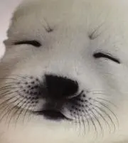 ミーナ