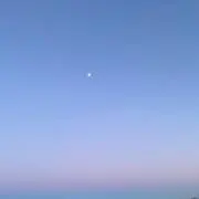 mameの画像