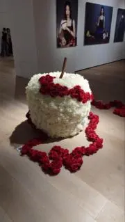 みの画像