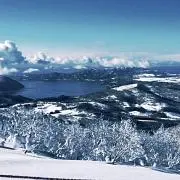 cerdoの画像