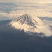paradisemartchの画像