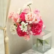taeko⭐︎の画像
