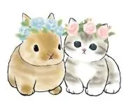 あんちゃん