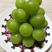 トマト