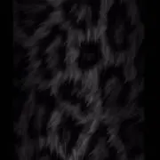 ゆう