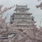 てんちゃん