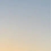 トラ子の画像