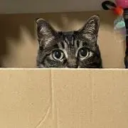 ななママ