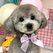yuriの画像