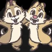 のもちゃんの画像
