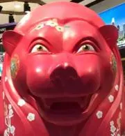 こまゆなの画像
