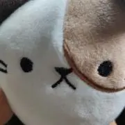 まーしー