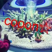 cooon☆即購入可の画像
