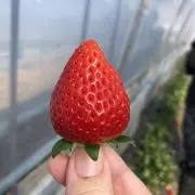 ごうべいmamaの画像