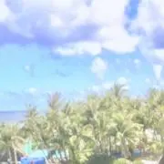 ミルクティーの画像