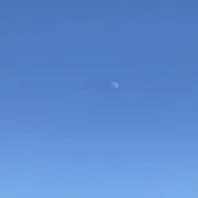 うさねこ(物品整理中)の画像