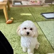 ゆうあの画像