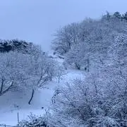 kkkの画像