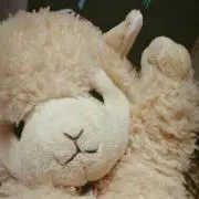 めぐ1034の画像