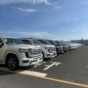 ドクルの画像