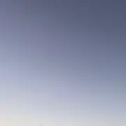 プロフ必見