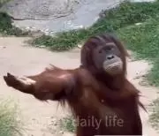 としの画像