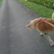るお