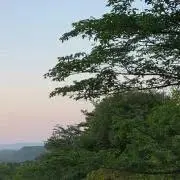 ※土日発送遅れます。の画像