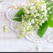 ❣️るー【断捨離・セール中】❣️の画像