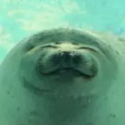 michikiの画像