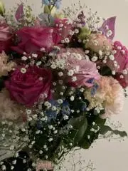 さら