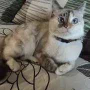 Dさんの画像