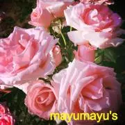 mayu☺︎