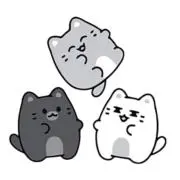 みかんの画像
