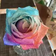 あっち(´∀｀)♡